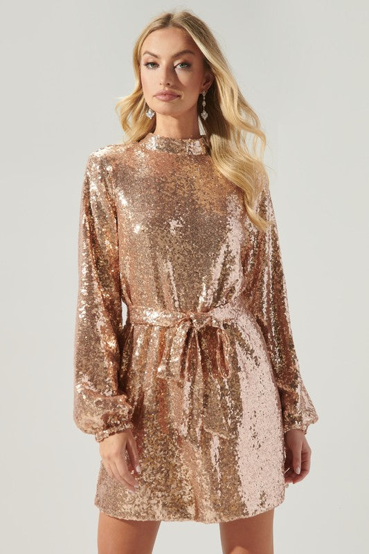 Shining Star Sequin Dress